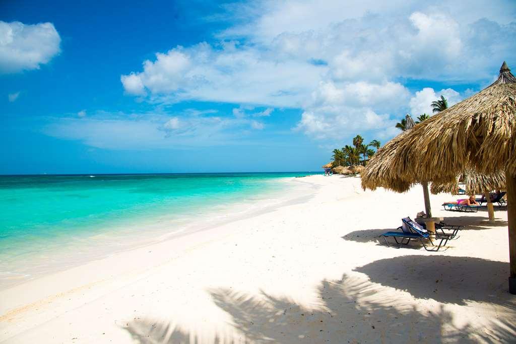Divi Dutch Village Beach Resort Palm Beach Nature photo
