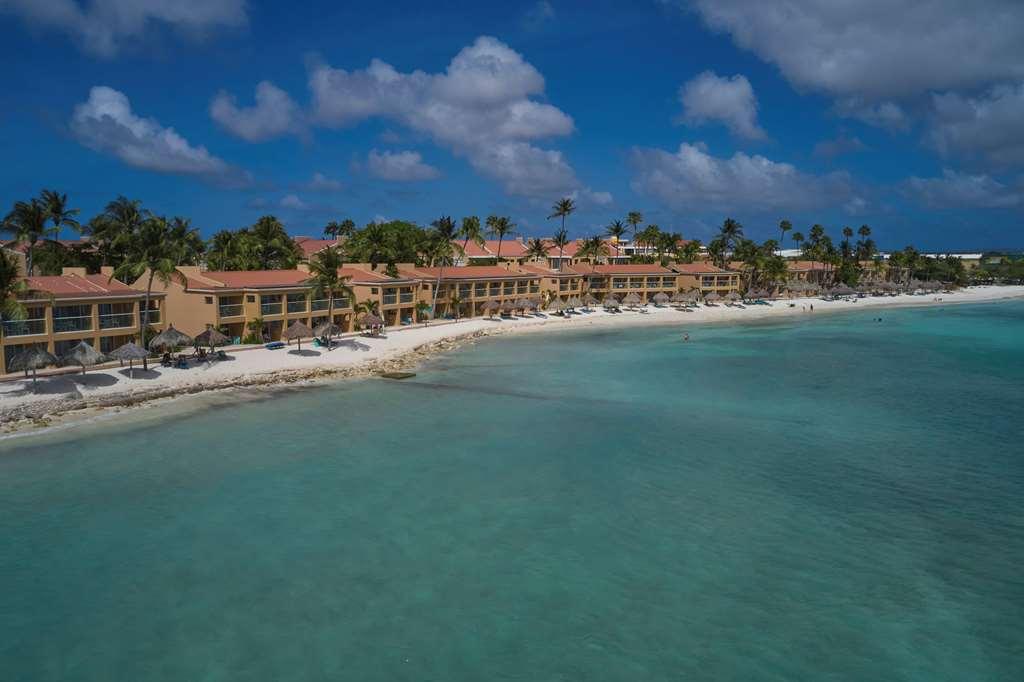 Divi Dutch Village Beach Resort Palm Beach Nature photo