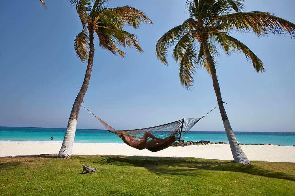 Divi Dutch Village Beach Resort Palm Beach Nature photo